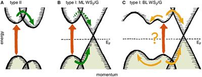 Ultrafast Charge Separation in Bilayer WS2/Graphene Heterostructure Revealed by Time- and Angle-Resolved Photoemission Spectroscopy